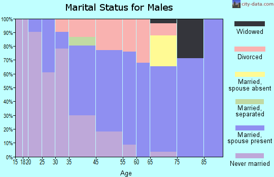 Shelburne Falls marital status for males