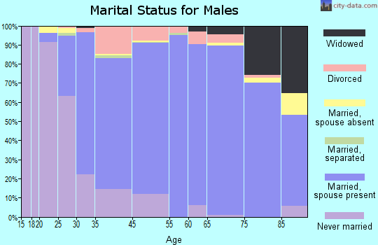 Somerset marital status for males