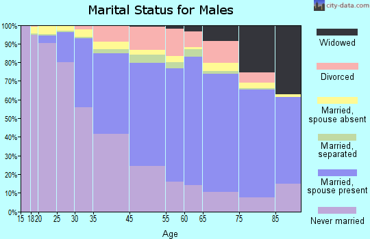 Somerville marital status for males