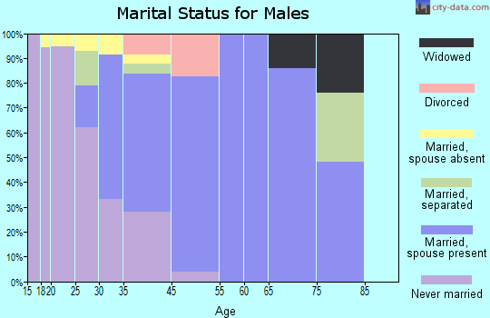 South Amherst marital status for males