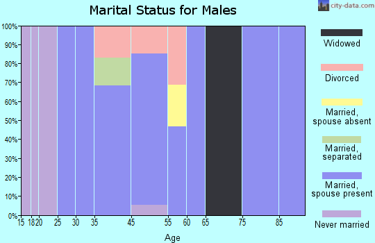 South Ashburnham marital status for males