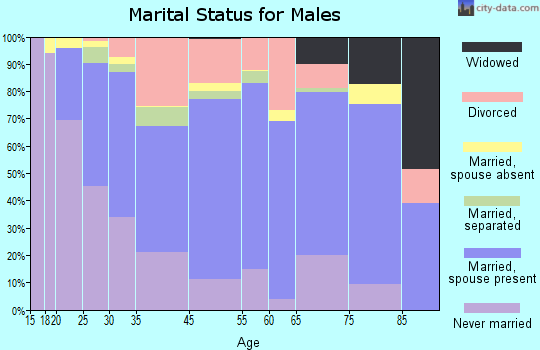 Southbridge marital status for males