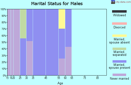 Rock Point marital status for males
