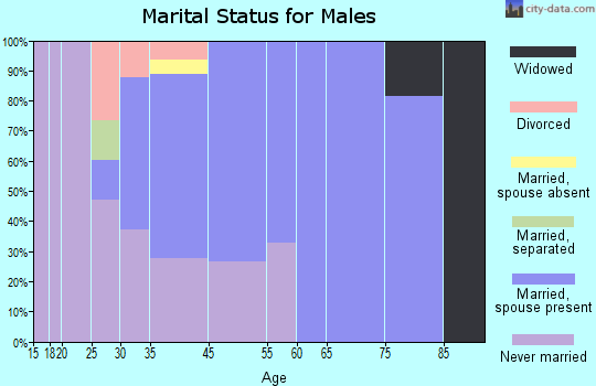 South Deerfield marital status for males