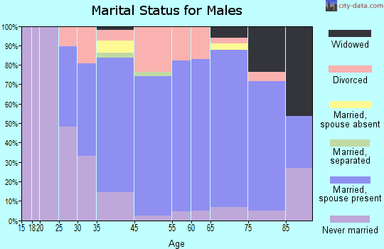 South Dennis marital status for males