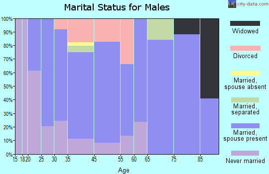Sturbridge marital status for males