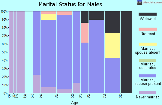 Topsfield marital status for males