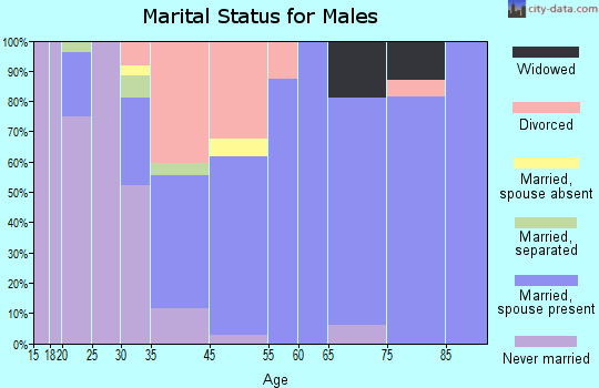 Turners Falls marital status for males
