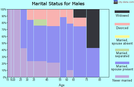 Vineyard Haven marital status for males