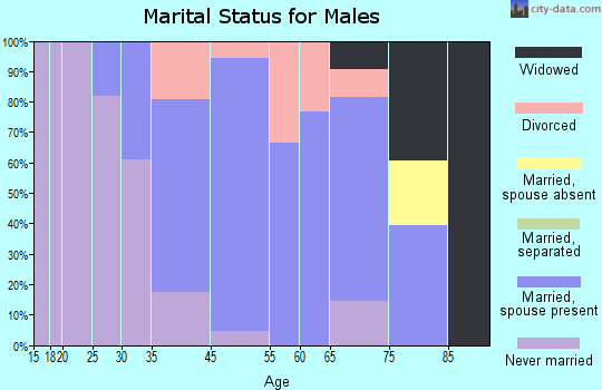 West Brookfield marital status for males