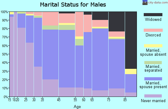 West Springfield marital status for males