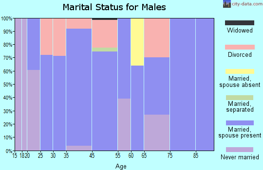 White Island Shores marital status for males