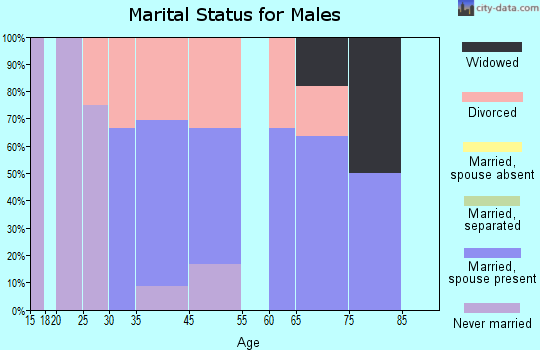 Ahmeek marital status for males