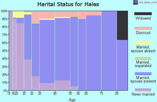 Allendale marital status for males