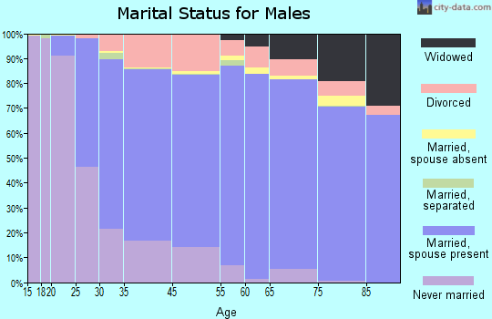 Allen Park marital status for males