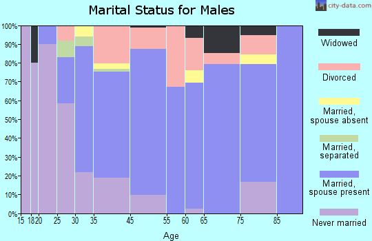 Bad Axe marital status for males