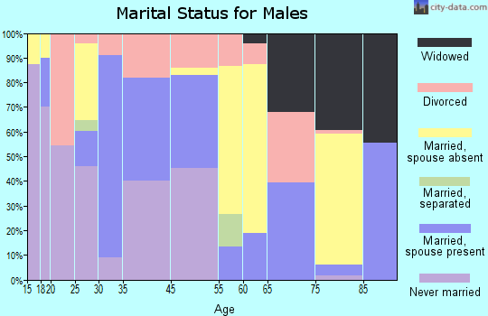 Baldwin marital status for males