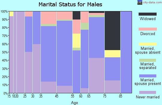 Baraga marital status for males