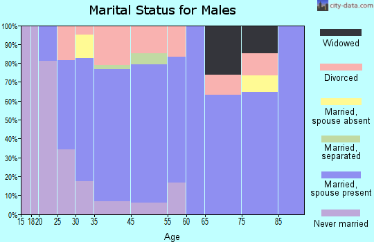 Baroda marital status for males