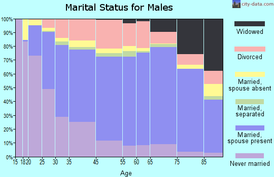 Battle Creek marital status for males