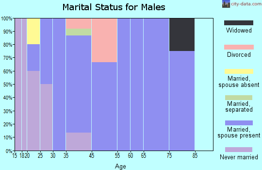 Beal City marital status for males