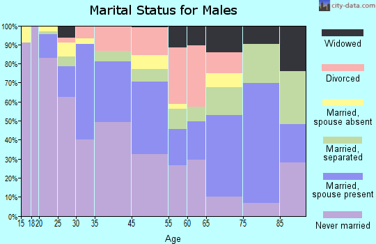 Benton Harbor marital status for males
