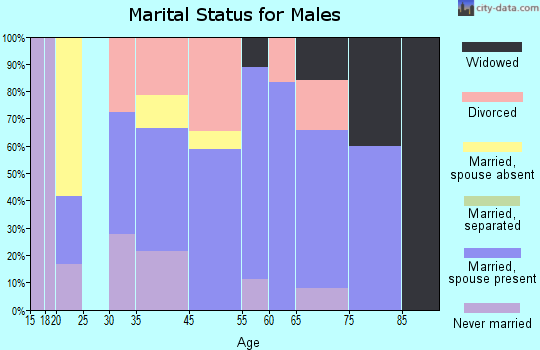 Benzonia marital status for males