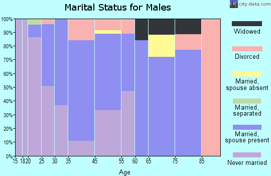 Berrien Springs marital status for males