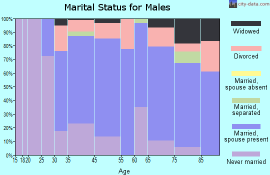 Bessemer marital status for males