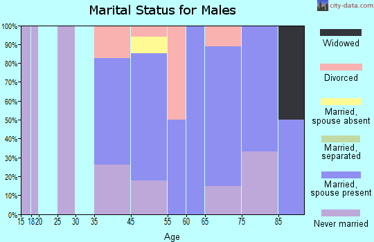 Big Bay marital status for males
