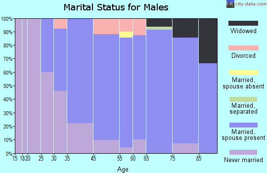 Bingham Farms marital status for males