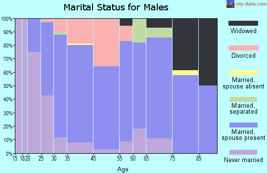 Birch Run marital status for males
