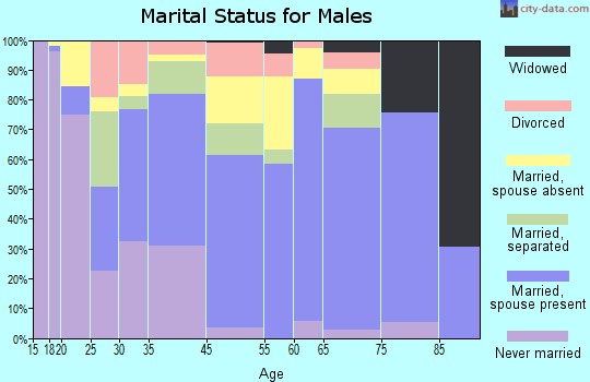 San Luis marital status for males