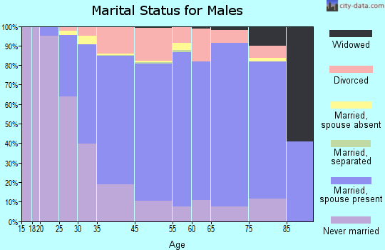 Birmingham marital status for males