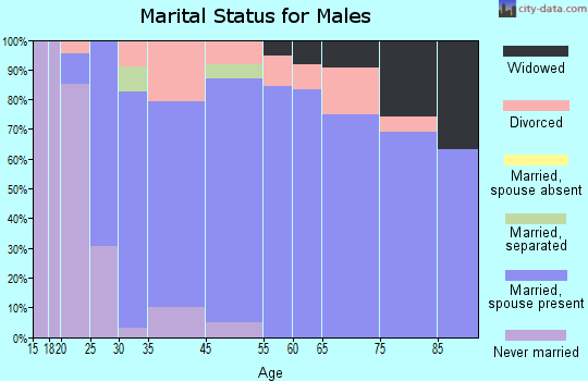 Blissfield marital status for males