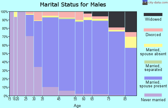 Bloomfield Township marital status for males