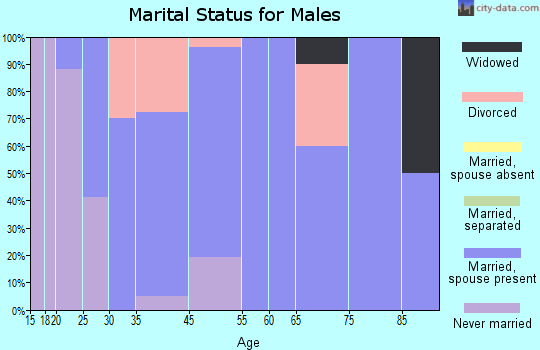 Bloomingdale marital status for males