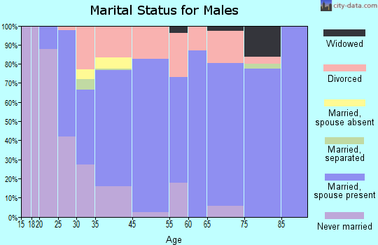 Boyne City marital status for males