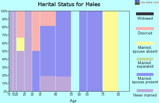 Breedsville marital status for males