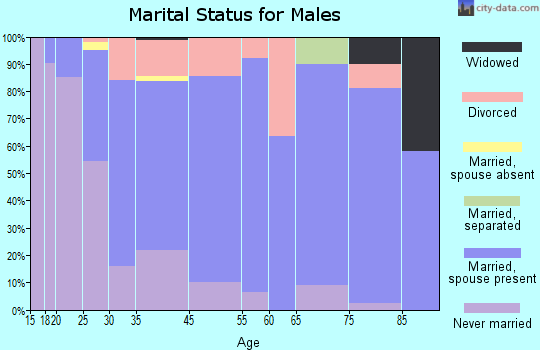 Brighton marital status for males