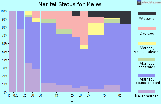 Bronson marital status for males