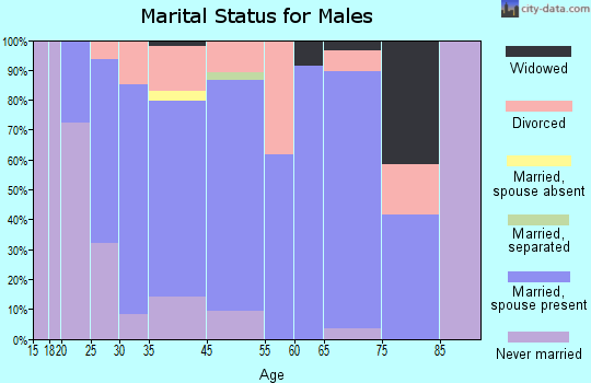 Brown City marital status for males