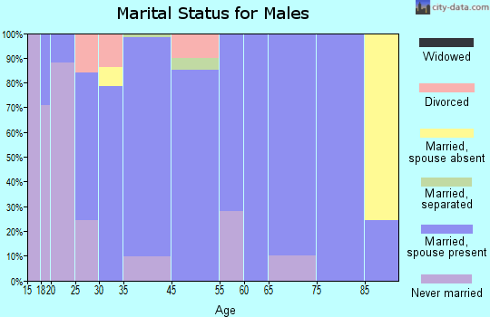 Byron Center marital status for males