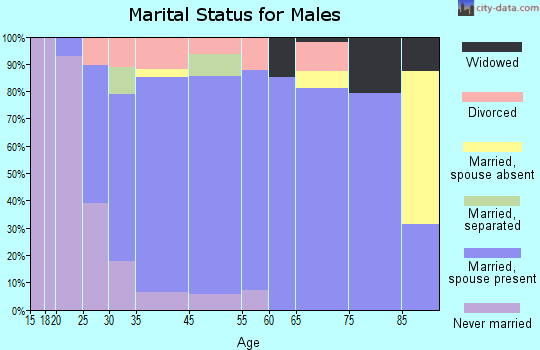 Cass City marital status for males