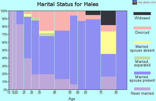 Cedar Springs marital status for males