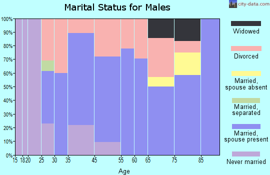 Cement City marital status for males