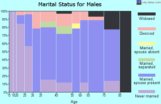 Central Lake marital status for males