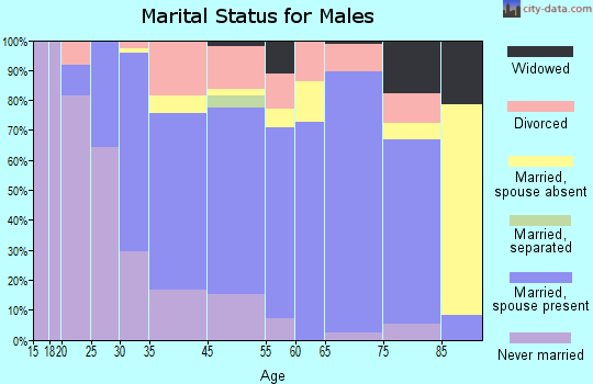 Cheboygan marital status for males