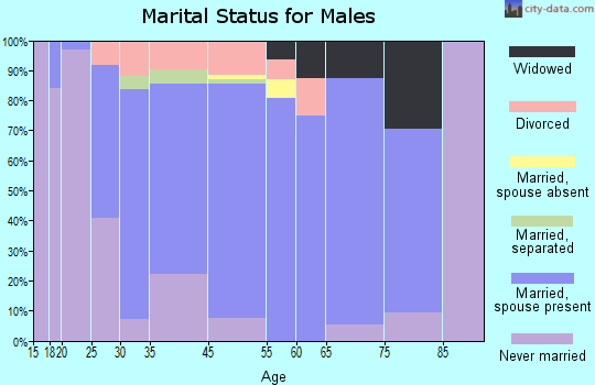 Chesaning marital status for males