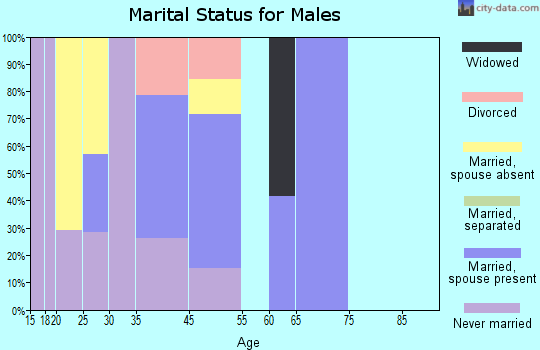 Second Mesa marital status for males